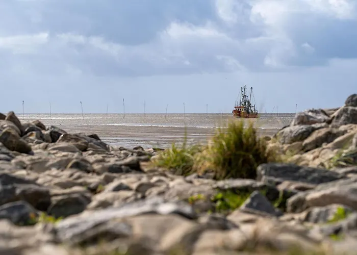 بيت للعطل Eversand 03